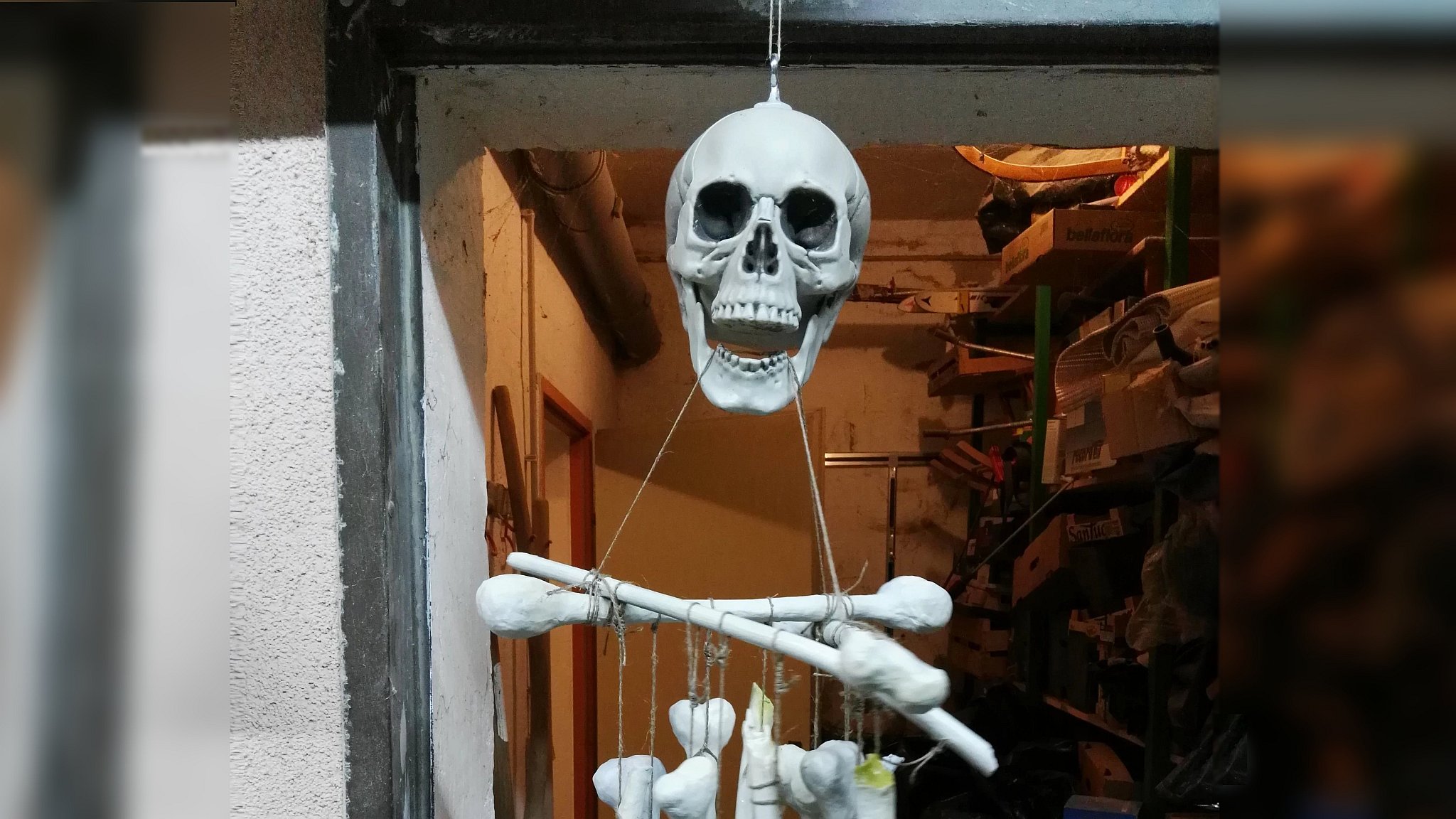 Click to Enlarge-Esc to Close EventPhotos/Halloween/skel 7.jpg